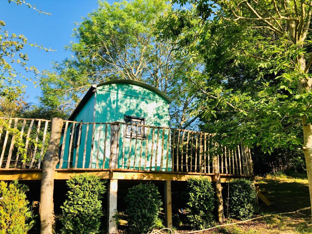 Lapin Cottage Long Bredy Zewnętrze zdjęcie