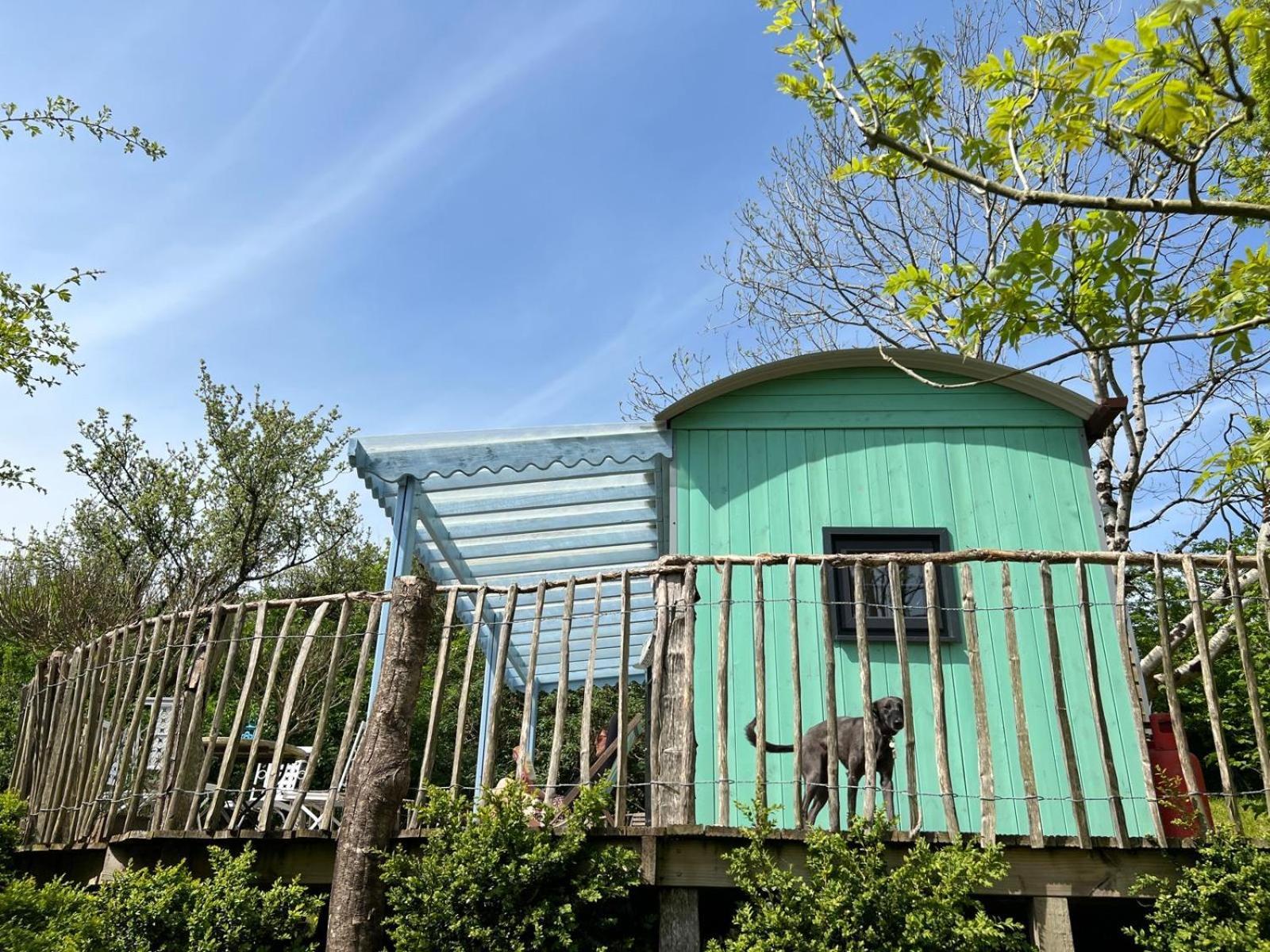 Lapin Cottage Long Bredy Zewnętrze zdjęcie